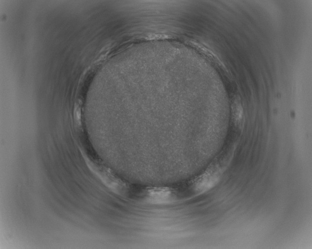 X0000079290214200612151710