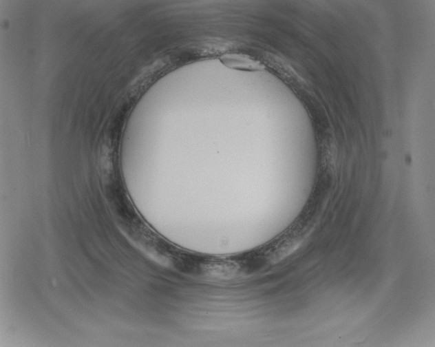 X0000079290215200612151710