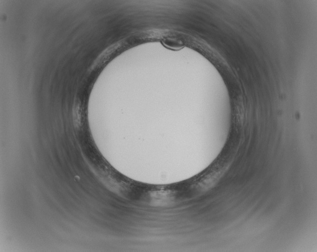 X0000079290216200612151710