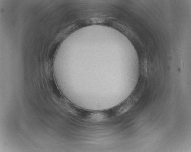 X0000079290218200612151710