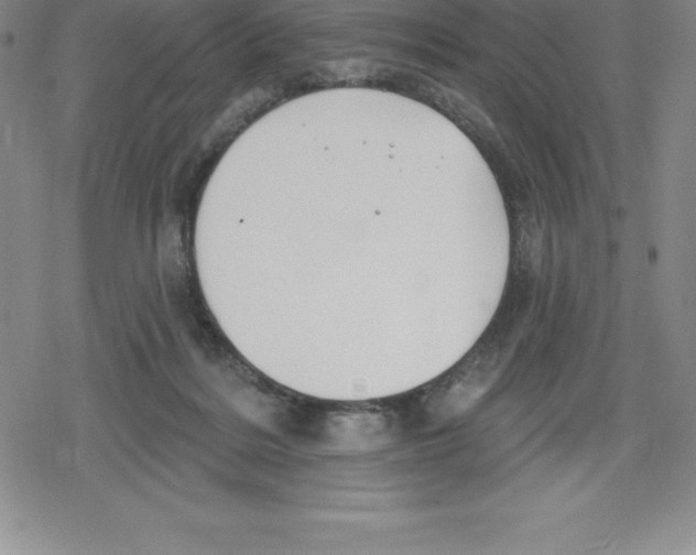 X0000079290220200612151710