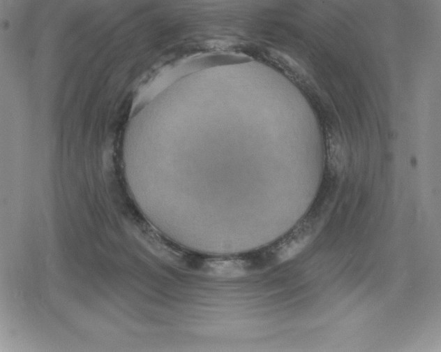 X0000079290221200612151710