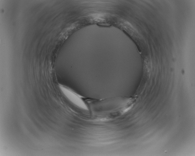 X0000079290223200612151710