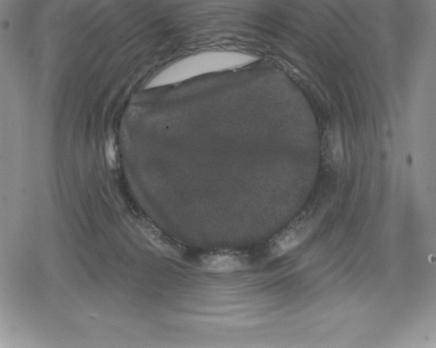 X0000079290224200612151710