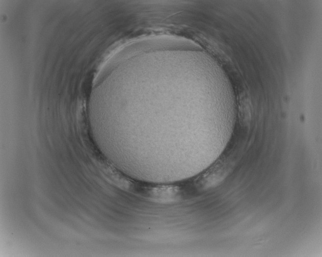 X0000079290225200612151710