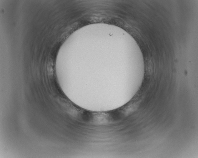 X0000079290226200612151710