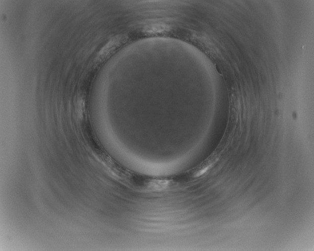 X0000079290227200612151710