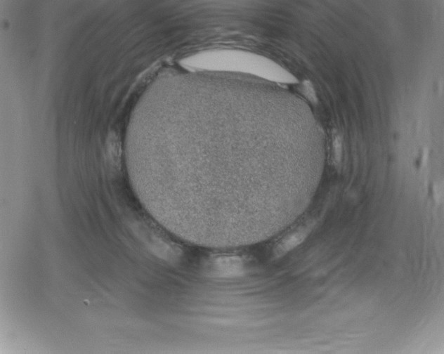 X0000079290228200612151710