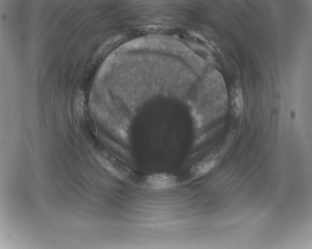 X0000079290231200612151710