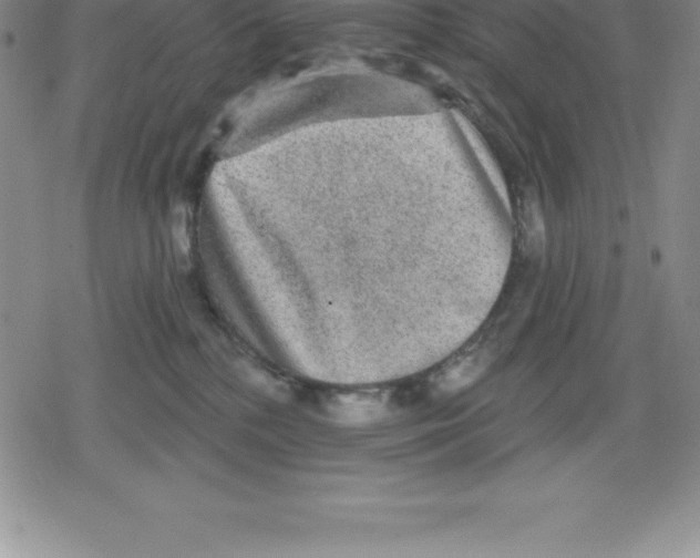 X0000079290232200612151710