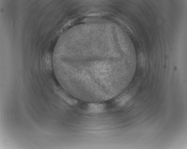 X0000079290234200612151710