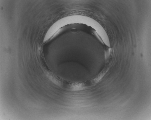 X0000079290235200612151710