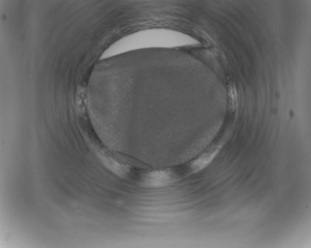 X0000079290237200612151710