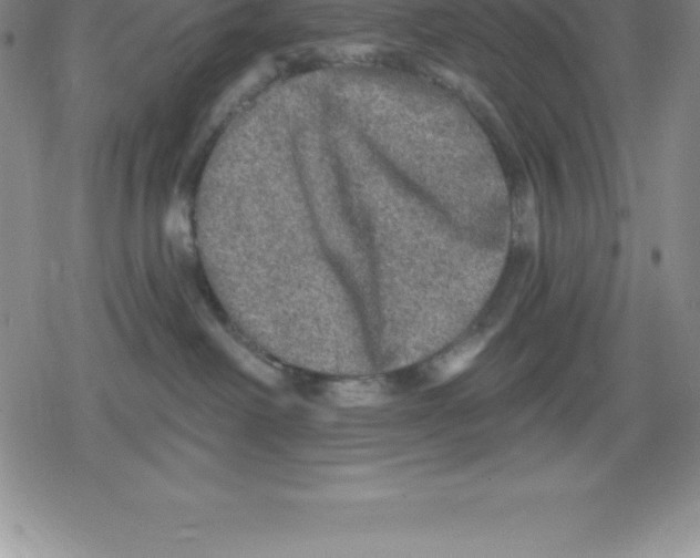 X0000079290238200612151710