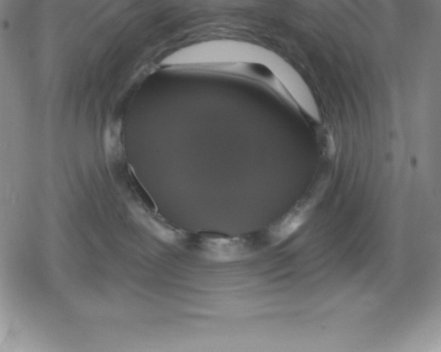 X0000079290239200612151710