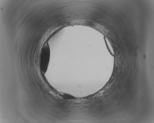 X0000079290241200612151709