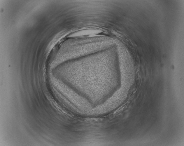 X0000079290242200612151709