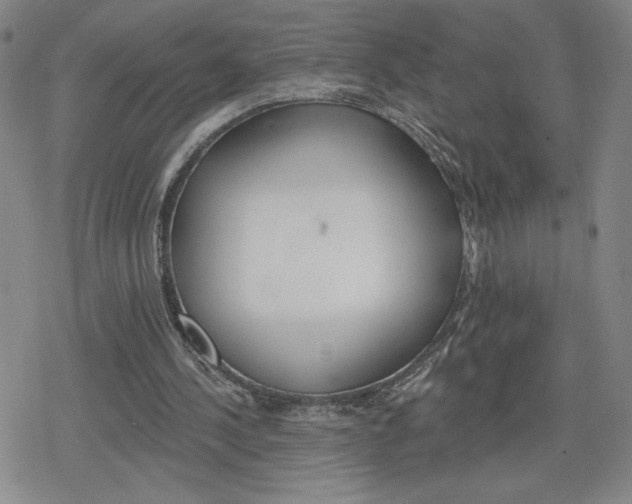 X0000079290244200612151709