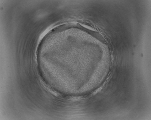 X0000079290246200612151709