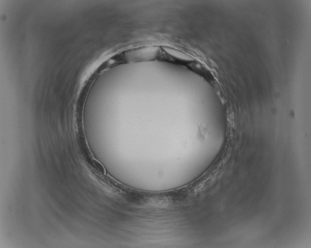 X0000079290248200612151709