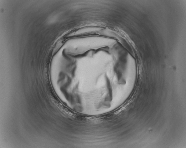 X0000079290249200612151709