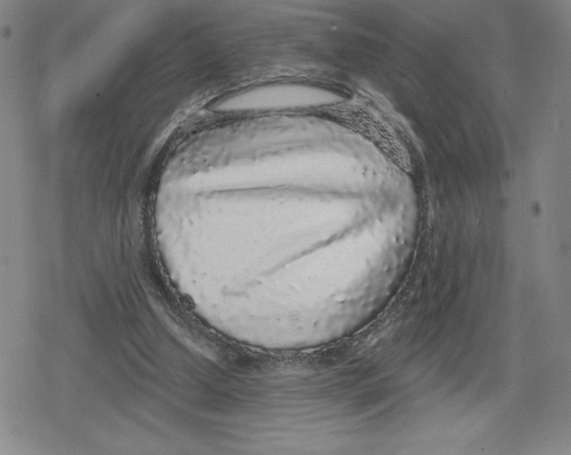 X0000079290250200612151709