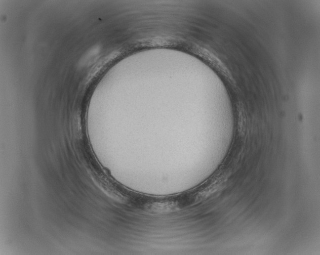 X0000079290251200612151709