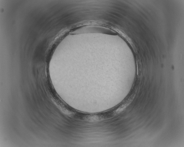 X0000079290253200612151709