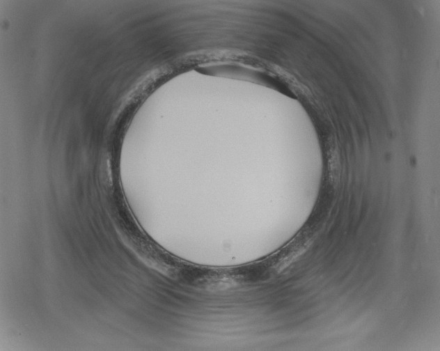 X0000079290254200612151709