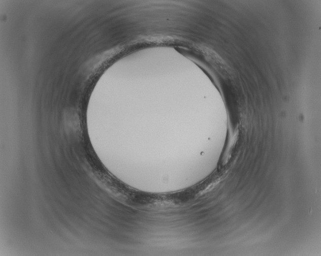 X0000079290256200612151709