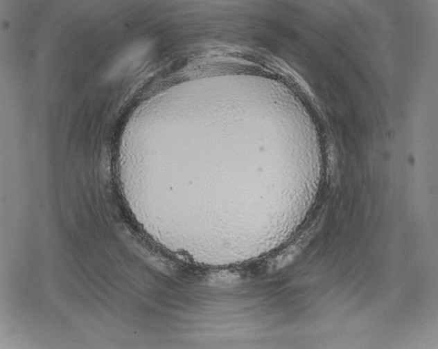 X0000079290257200612151709