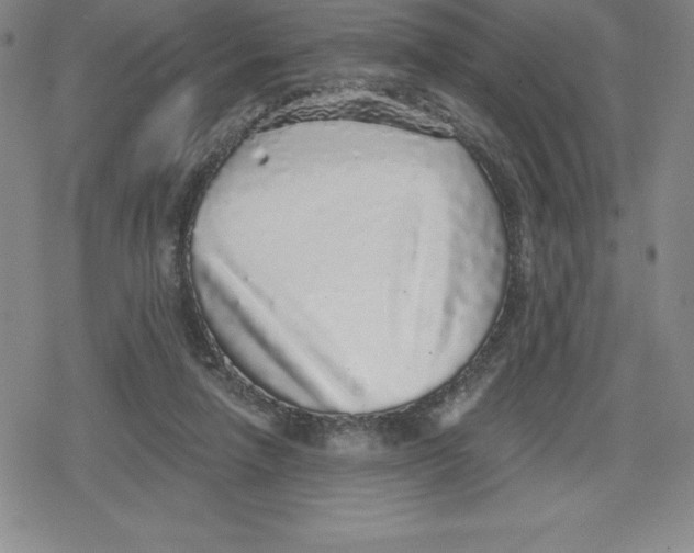 X0000079290258200612151709