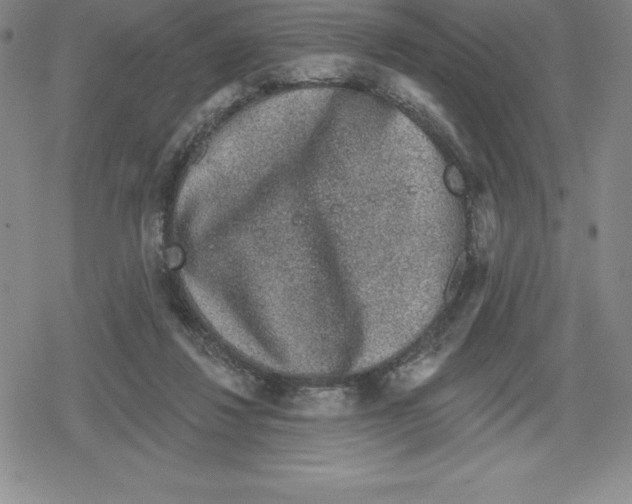 X0000079290260200612151709