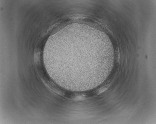 X0000079290263200612151709