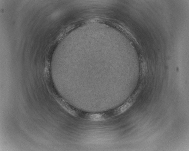 X0000079290265200612151709