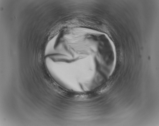 X0000079290266200612151709