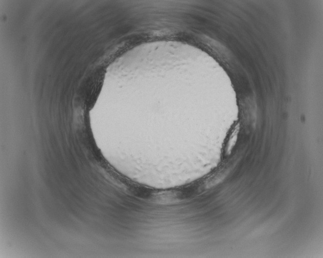 X0000079290269200612151709