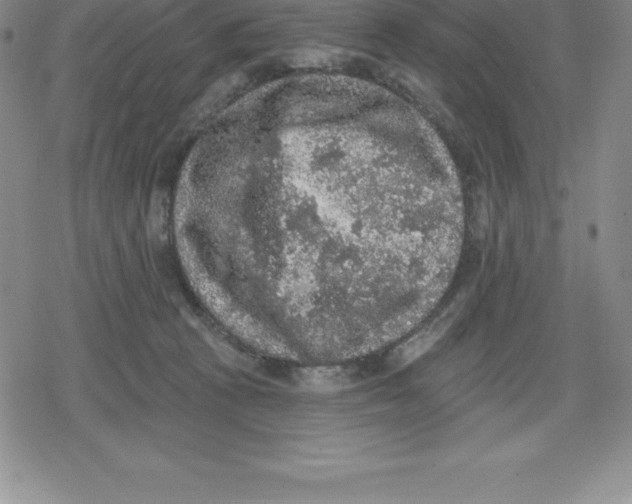 X0000079290273200612151709