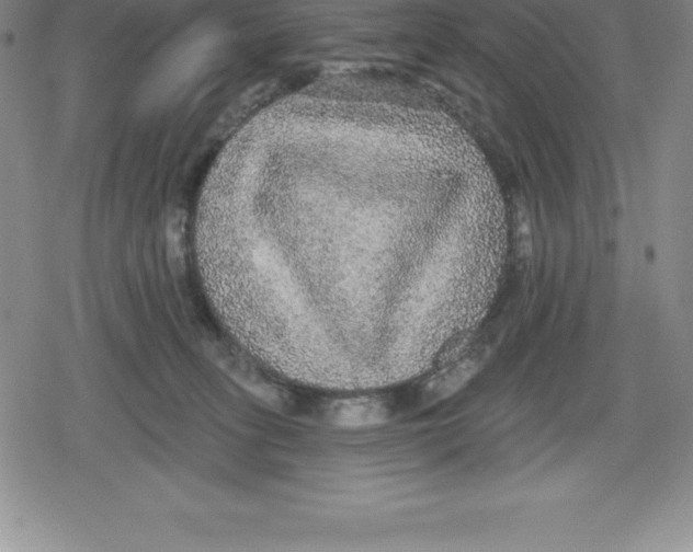 X0000079290275200612151709