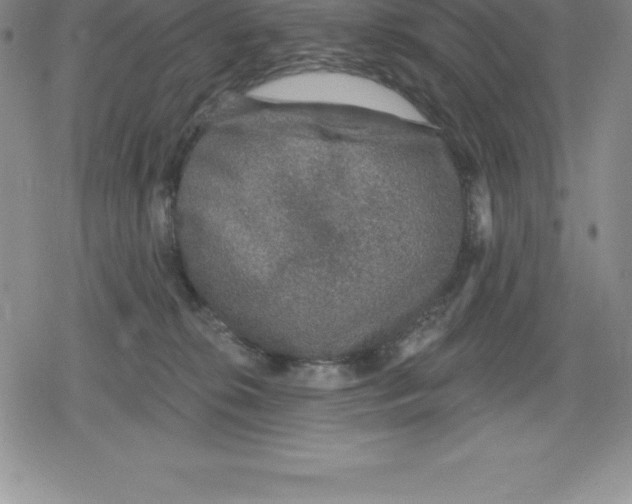 X0000079290276200612151709