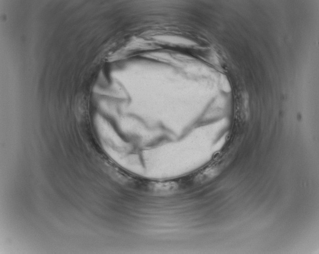 X0000079290277200612151709