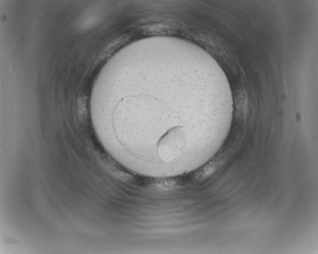 X0000079290278200612151709