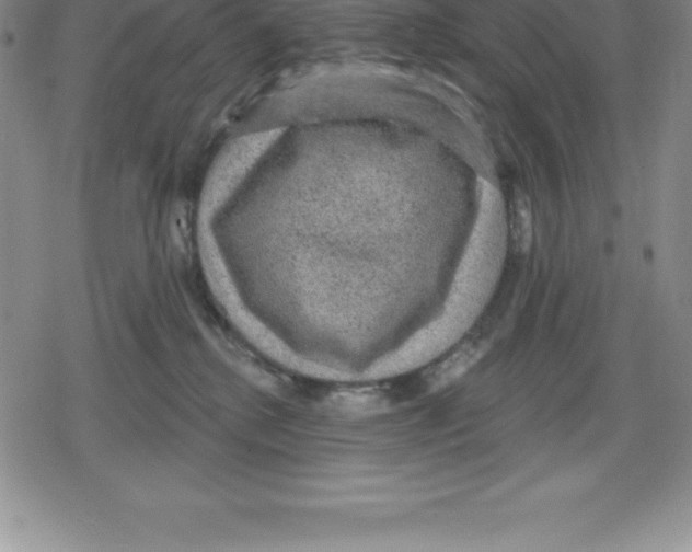 X0000079290280200612151709