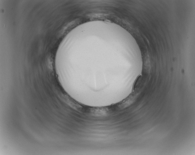 X0000079290282200612151710