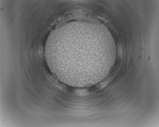 X0000079290283200612151710