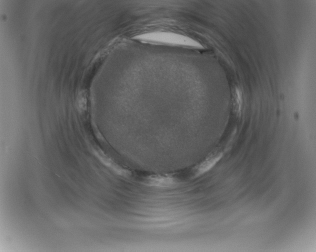 X0000079290284200612151710