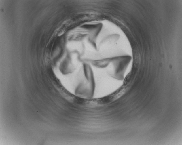 X0000079290285200612151710