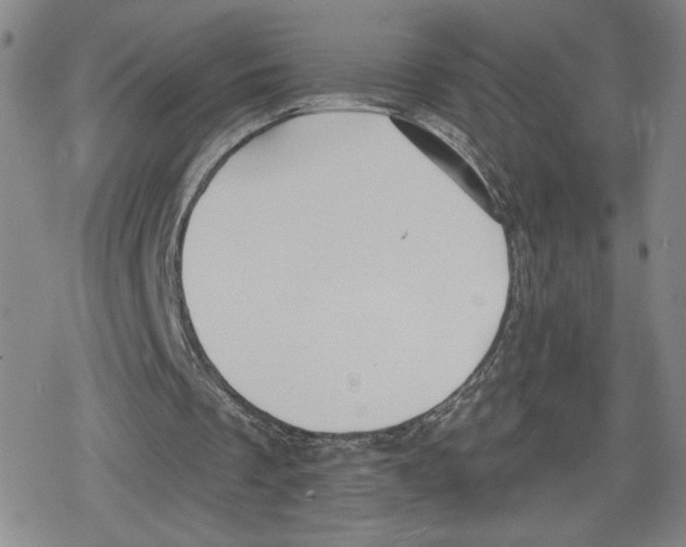 X0000079290289200612151709