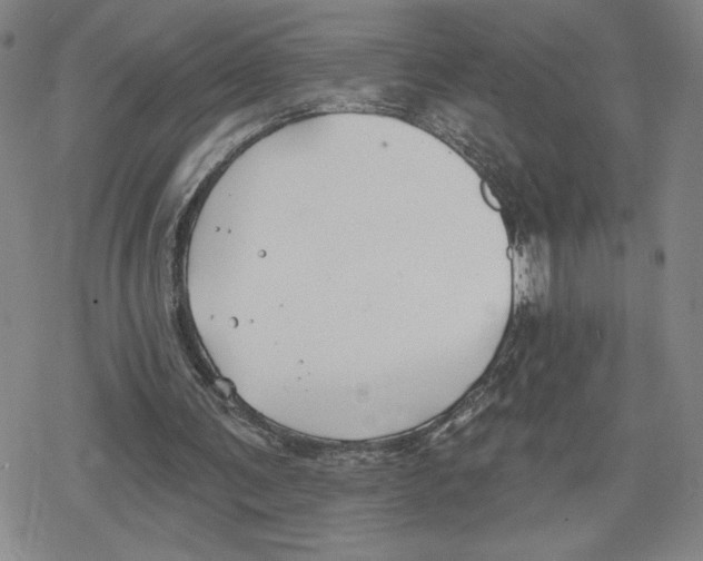 X0000079290291200612151709