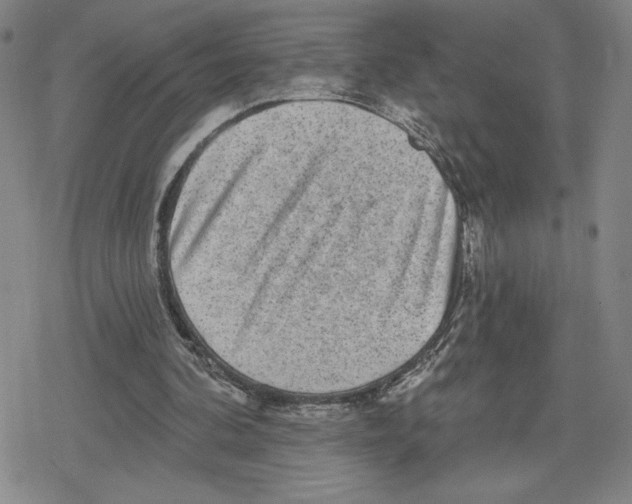 X0000079290292200612151709